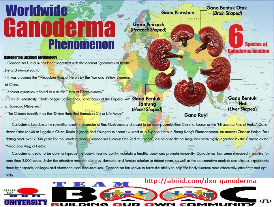 Worldwide Ganoderma Phenomenon